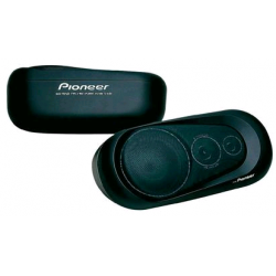 Haut-parleur Pioneer TS-150